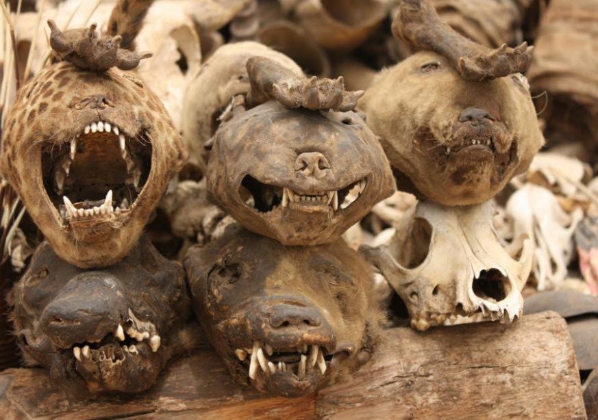 Akodésséwa Fetish Market, Lomé, Togo